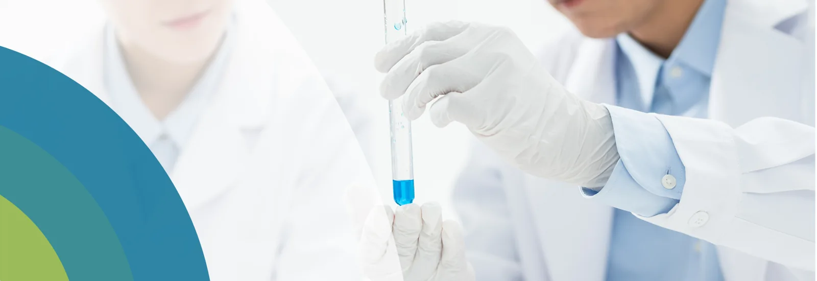 Regulatory Submission — original website image